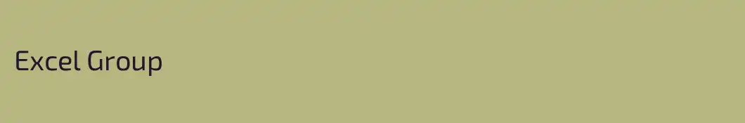 Excel Group